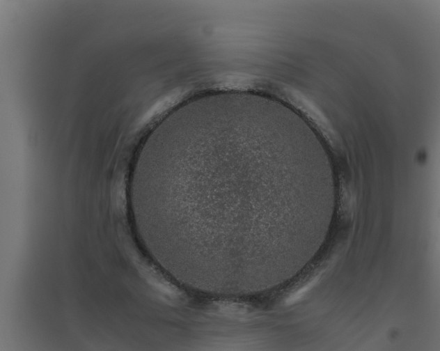 X0000094820681200711241508