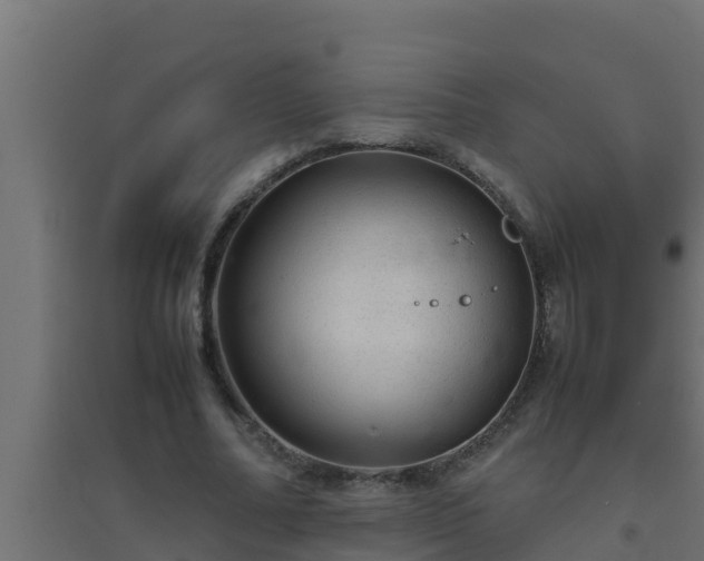 X0000094820682200711241508