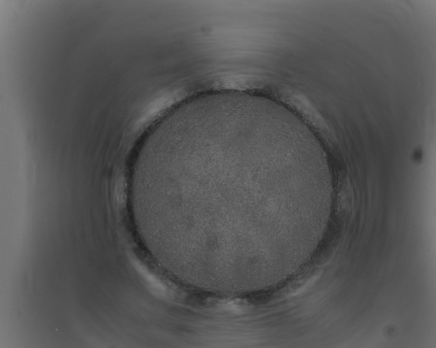 X0000094820683200711241508