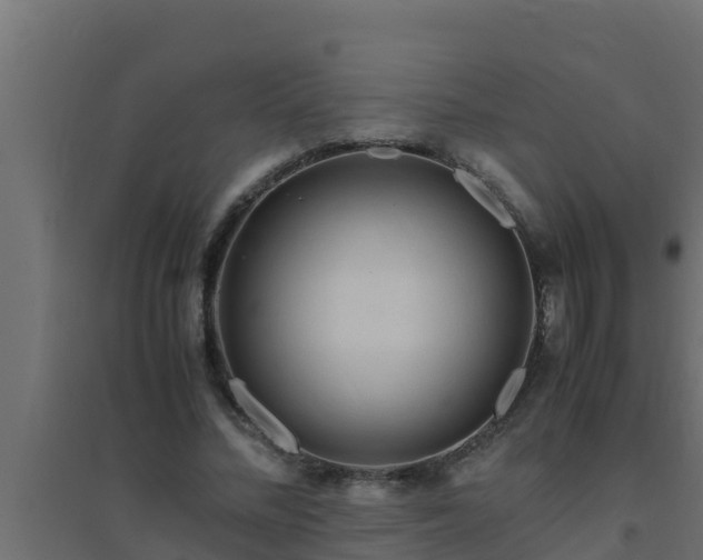 X0000094820684200711241508