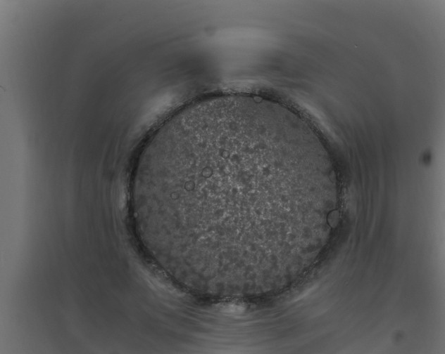 X0000094820687200711241508