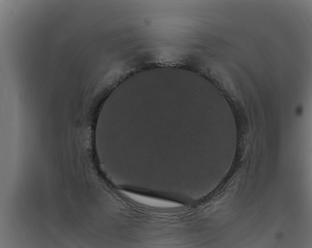 X0000094820689200711241508