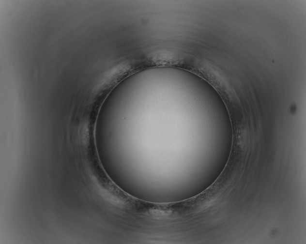 X0000094820690200711241508