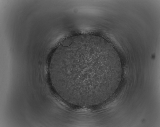 X0000094820691200711241508