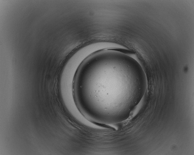 X0000094820692200711241508
