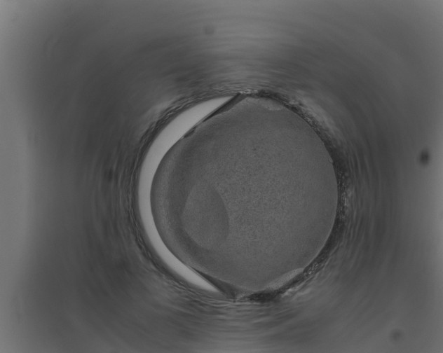 X0000094820693200711241508
