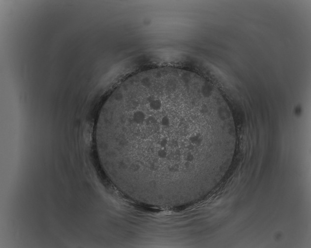 X0000094820695200711241508
