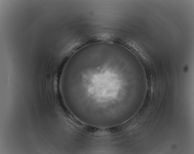 X0000094820696200711241508