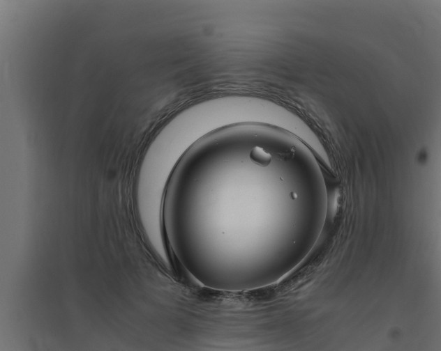 X0000094820697200711241508