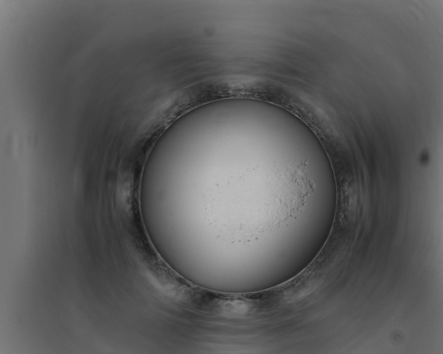 X0000094820698200711241508