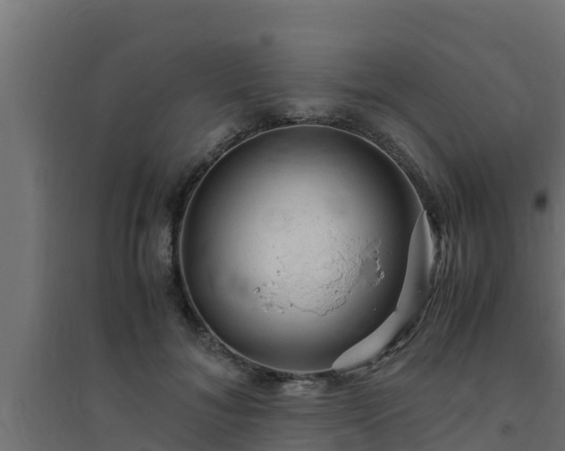 X0000094820700200711241508