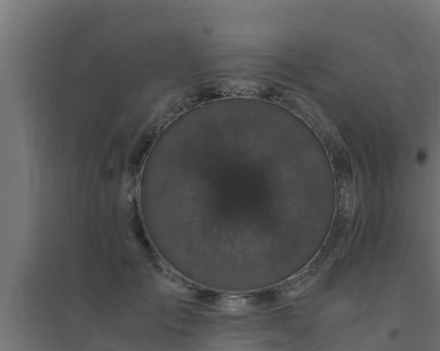 X0000094820701200711241508