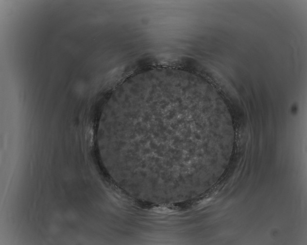 X0000094820703200711241508