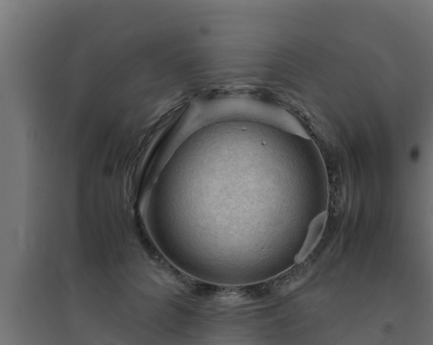 X0000094820704200711241508