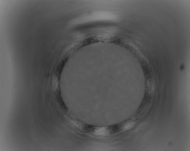X0000094820705200711241508