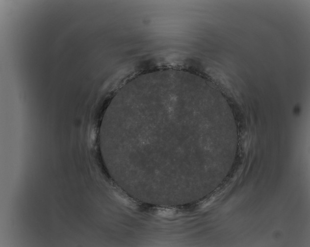 X0000094820709200711241508