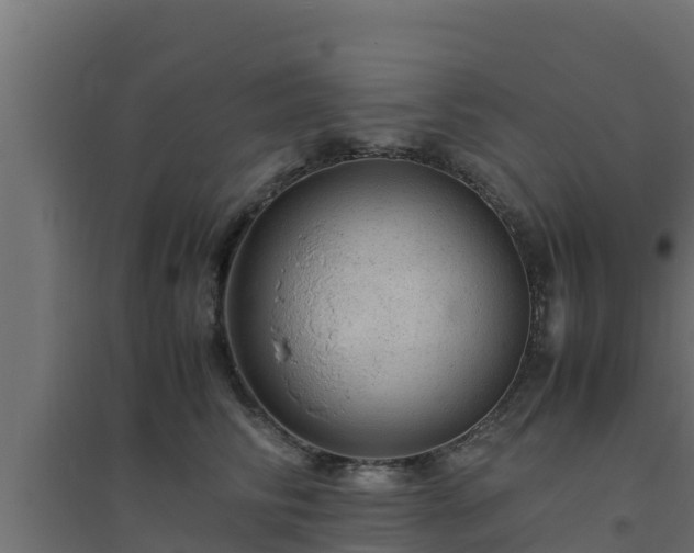 X0000094820710200711241508