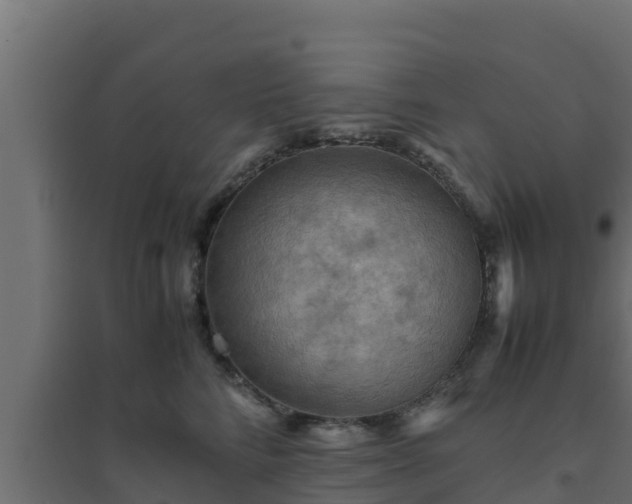 X0000094820712200711241508