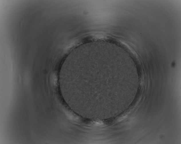 X0000094820715200711241508