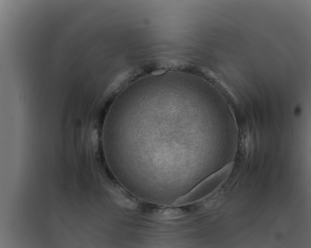 X0000094820716200711241508