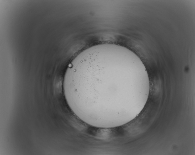 X0000094820717200711241508
