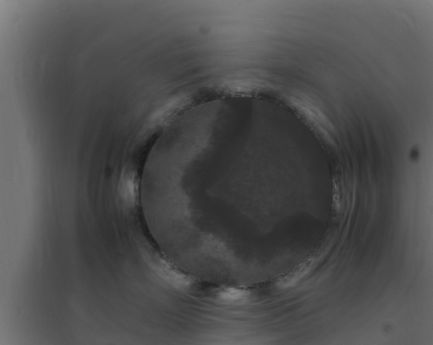 X0000094820718200711241508