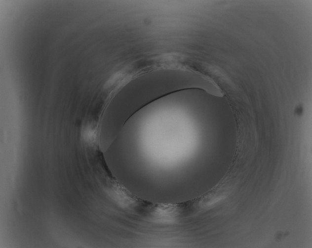 X0000094820720200711241508