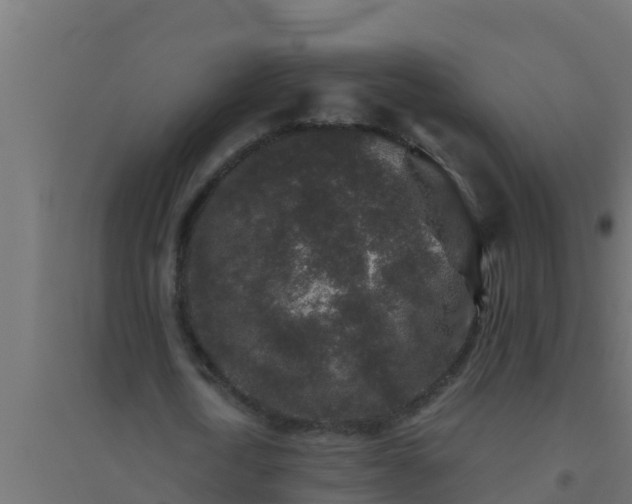 X0000094820722200711241507