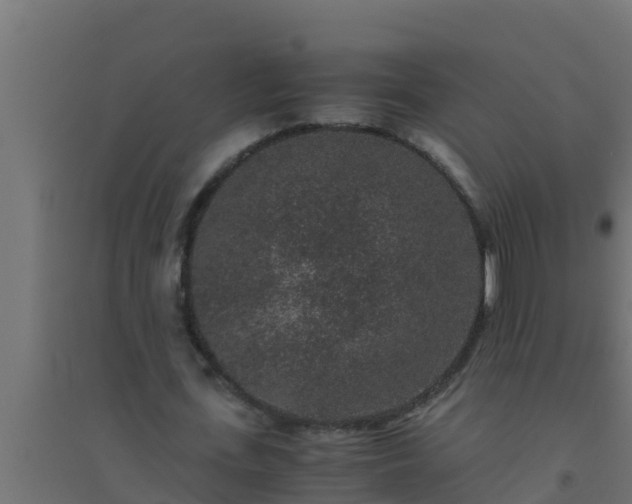 X0000094820723200711241507
