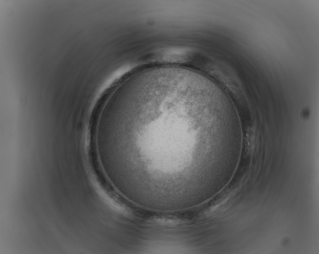 X0000094820726200711241507