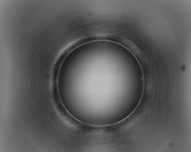 X0000094820728200711241507