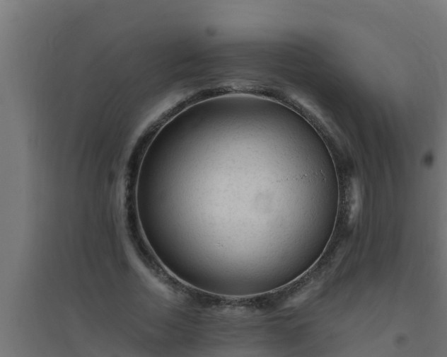 X0000094820730200711241507