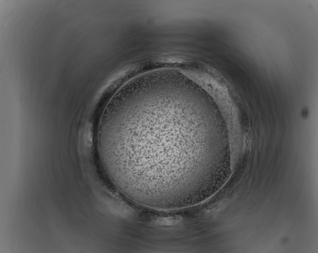 X0000094820731200711241507