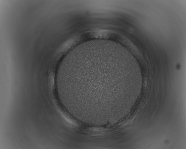 X0000094820733200711241507