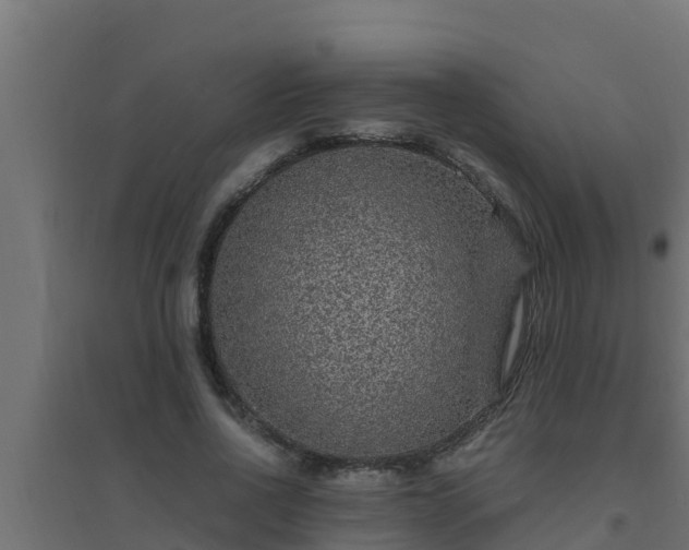 X0000094820734200711241507