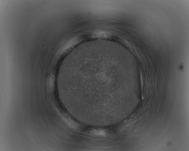 X0000094820735200711241507