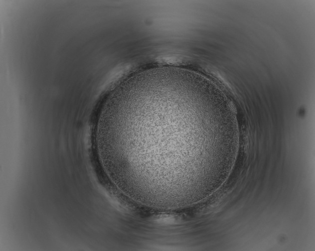 X0000094820738200711241507