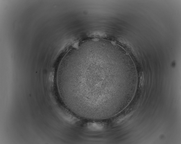 X0000094820739200711241507