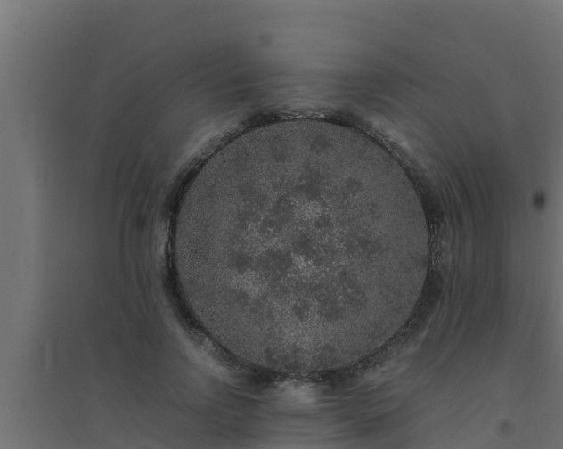 X0000094820742200711241508