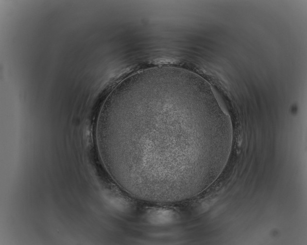 X0000094820743200711241508