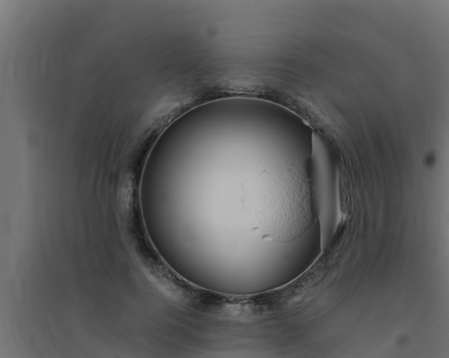 X0000094820744200711241508