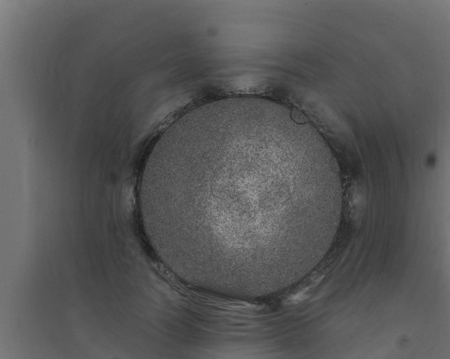 X0000094820746200711241508