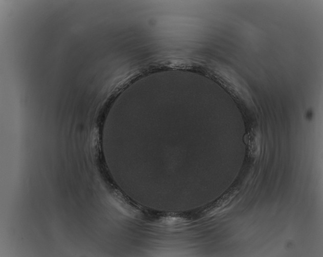 X0000094820748200711241508