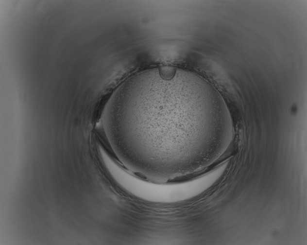 X0000094820750200711241508