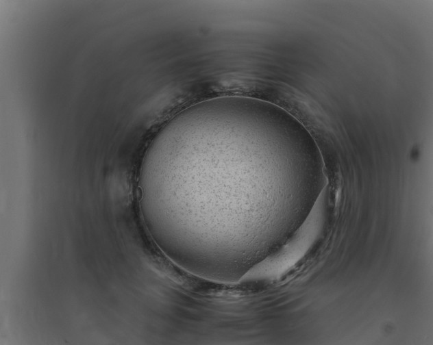 X0000094820751200711241508