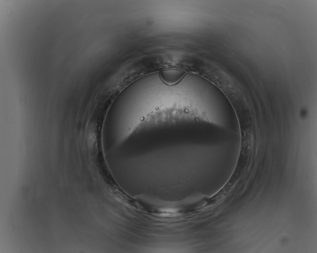 X0000094820754200711241508
