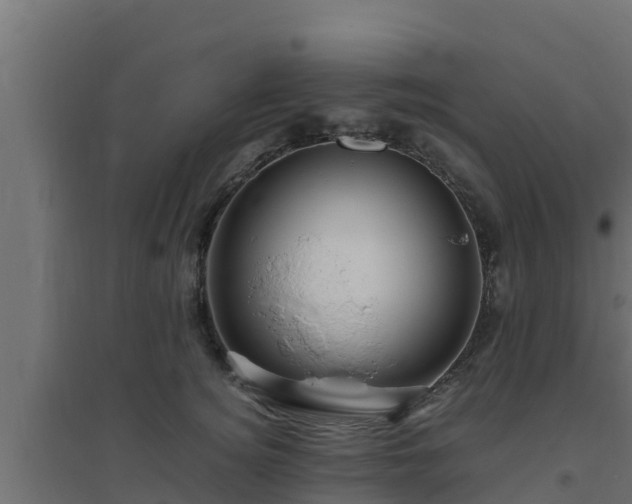 X0000094820756200711241508