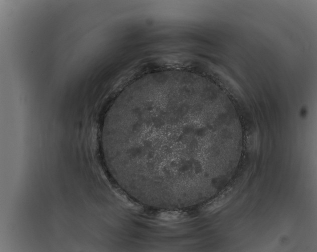 X0000094820757200711241508