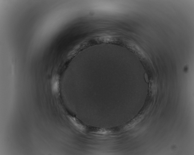 X0000094820760200711241508