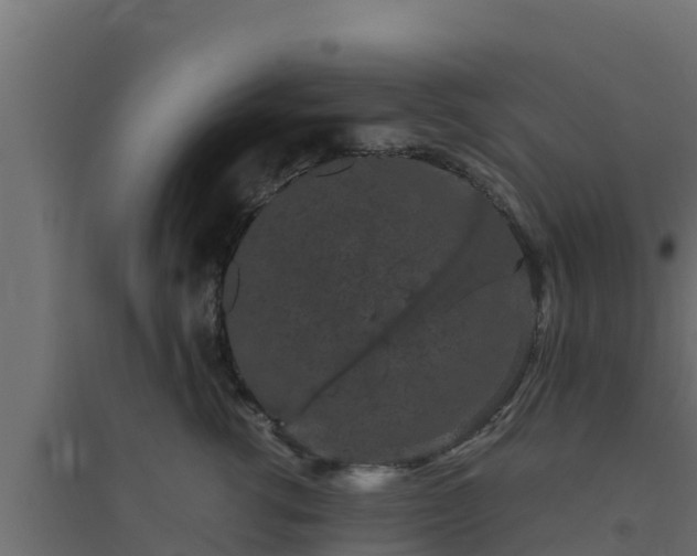 X0000094820762200711241508